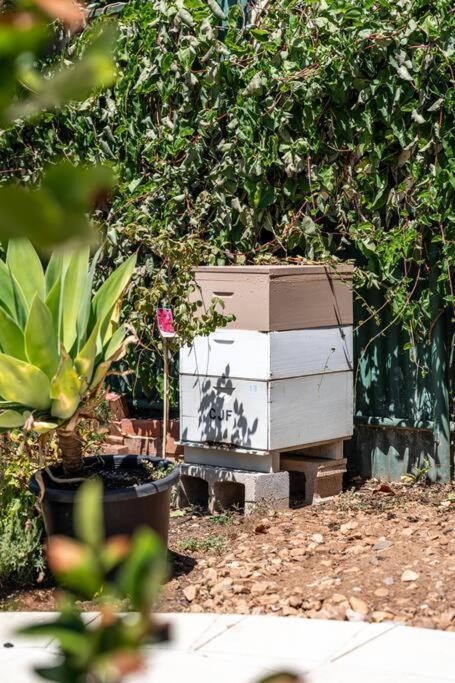 Bees Knees Studio, 5 Min To Cbd, Adelaide Airport & Henley Holiday home Thebarton
